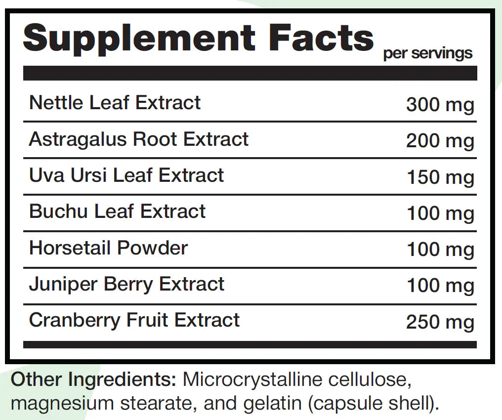 KIDNEY SUPP 60 KAPSÜL (BÖBREK KORUYUCU)